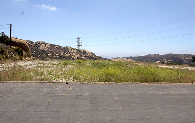 This June 2016 photo shows significant growth of vegetation where hydroseed was applied in the Building 204 demolition area.