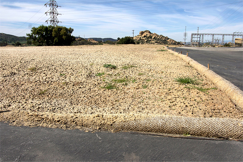 This photo shows a closer view of the Building 204 area in March 2016, with little vegetation growth.